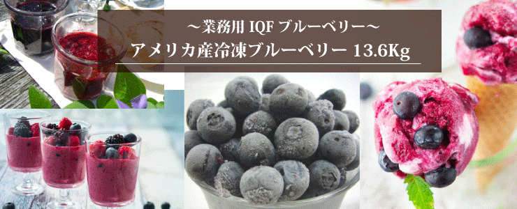 冷凍ブルーベリー果実